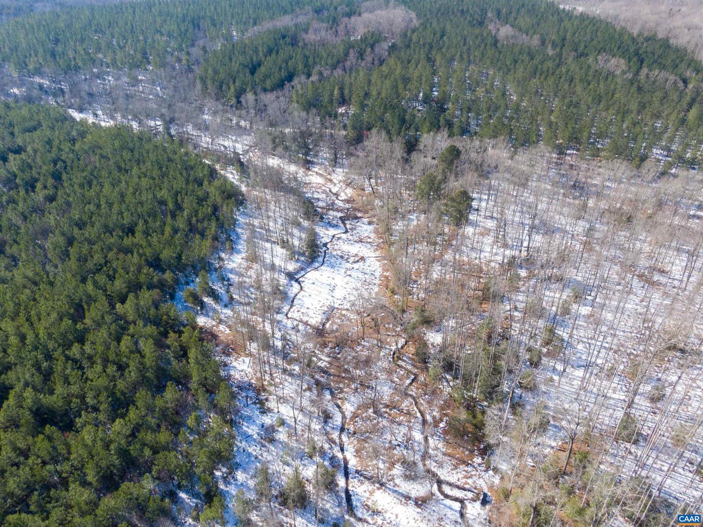 4048 OLD GRAIN RD, CORBIN, Virginia 22446, ,Farm,For Sale,4048 OLD GRAIN RD,665570 MLS # 665570 4048 OLD GRAIN RD, CORBIN, Virginia 22446, ,Farm,For Sale,4048 OLD GRAIN RD,665570 MLS # 665570