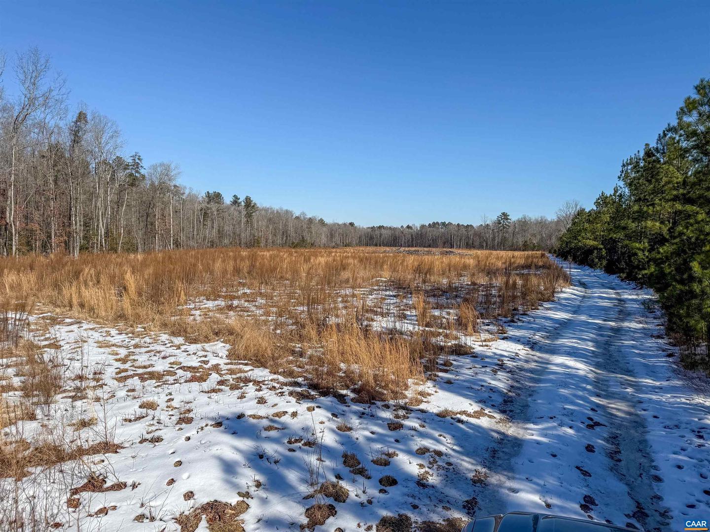 4048 OLD GRAIN RD, CORBIN, Virginia 22446, ,Farm,For Sale,4048 OLD GRAIN RD,665570 MLS # 665570 4048 OLD GRAIN RD, CORBIN, Virginia 22446, ,Farm,For Sale,4048 OLD GRAIN RD,665570 MLS # 665570