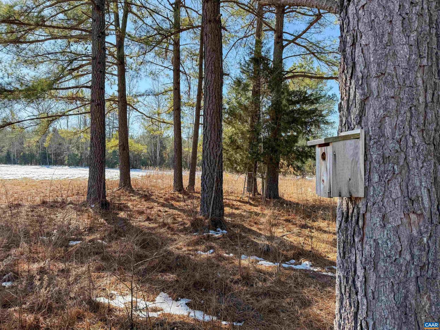 4048 OLD GRAIN RD, CORBIN, Virginia 22446, ,Farm,For Sale,4048 OLD GRAIN RD,665570 MLS # 665570 4048 OLD GRAIN RD, CORBIN, Virginia 22446, ,Farm,For Sale,4048 OLD GRAIN RD,665570 MLS # 665570