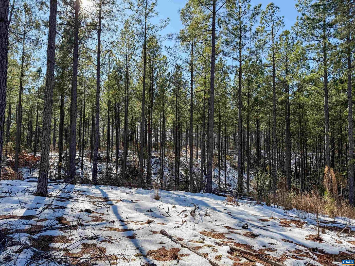 4048 OLD GRAIN RD, CORBIN, Virginia 22446, ,Farm,For Sale,4048 OLD GRAIN RD,665570 MLS # 665570 4048 OLD GRAIN RD, CORBIN, Virginia 22446, ,Farm,For Sale,4048 OLD GRAIN RD,665570 MLS # 665570