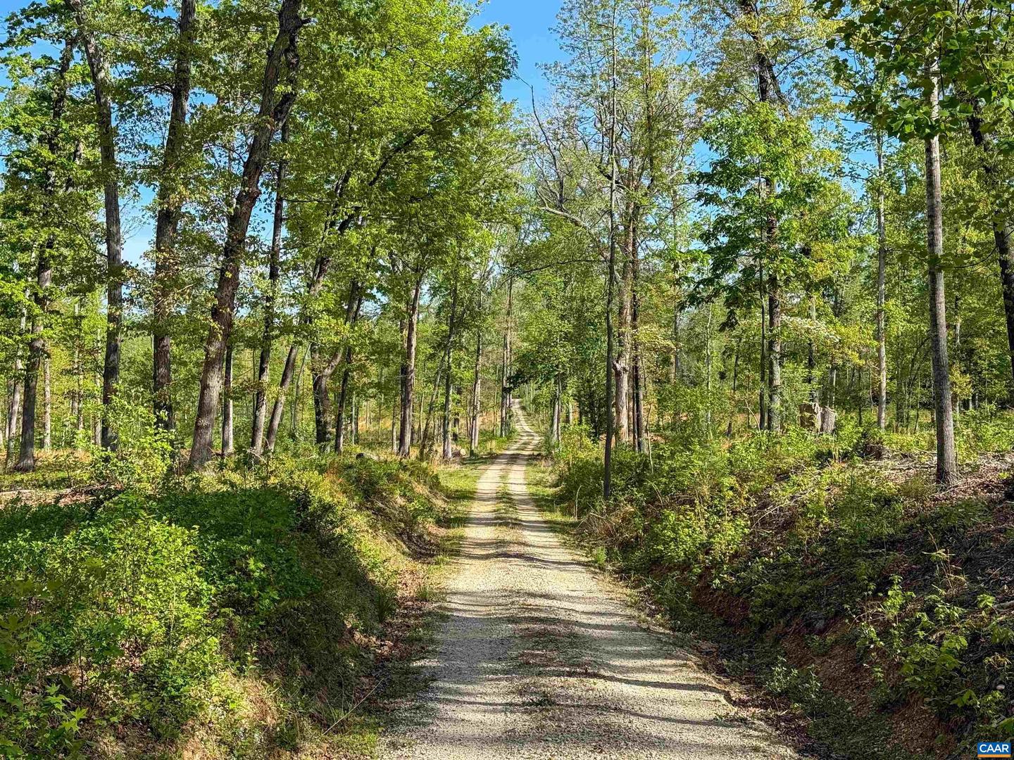 4048 OLD GRAIN RD, CORBIN, Virginia 22446, ,Farm,For Sale,4048 OLD GRAIN RD,665570 MLS # 665570 4048 OLD GRAIN RD, CORBIN, Virginia 22446, ,Farm,For Sale,4048 OLD GRAIN RD,665570 MLS # 665570