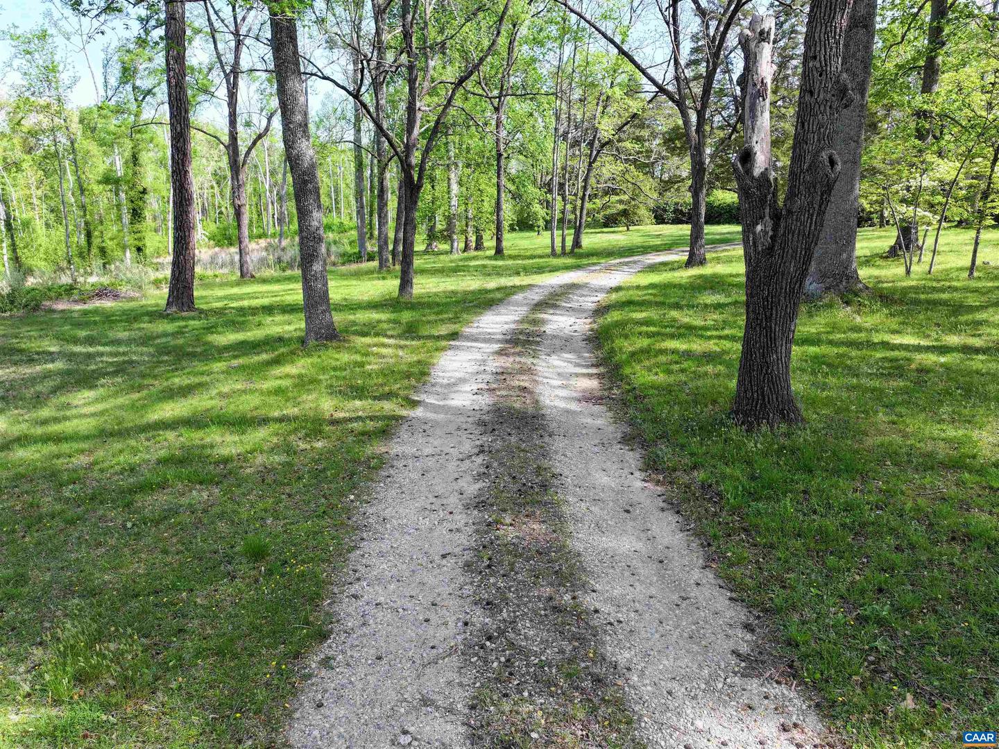 4048 OLD GRAIN RD, CORBIN, Virginia 22446, ,Farm,For Sale,4048 OLD GRAIN RD,665570 MLS # 665570 4048 OLD GRAIN RD, CORBIN, Virginia 22446, ,Farm,For Sale,4048 OLD GRAIN RD,665570 MLS # 665570