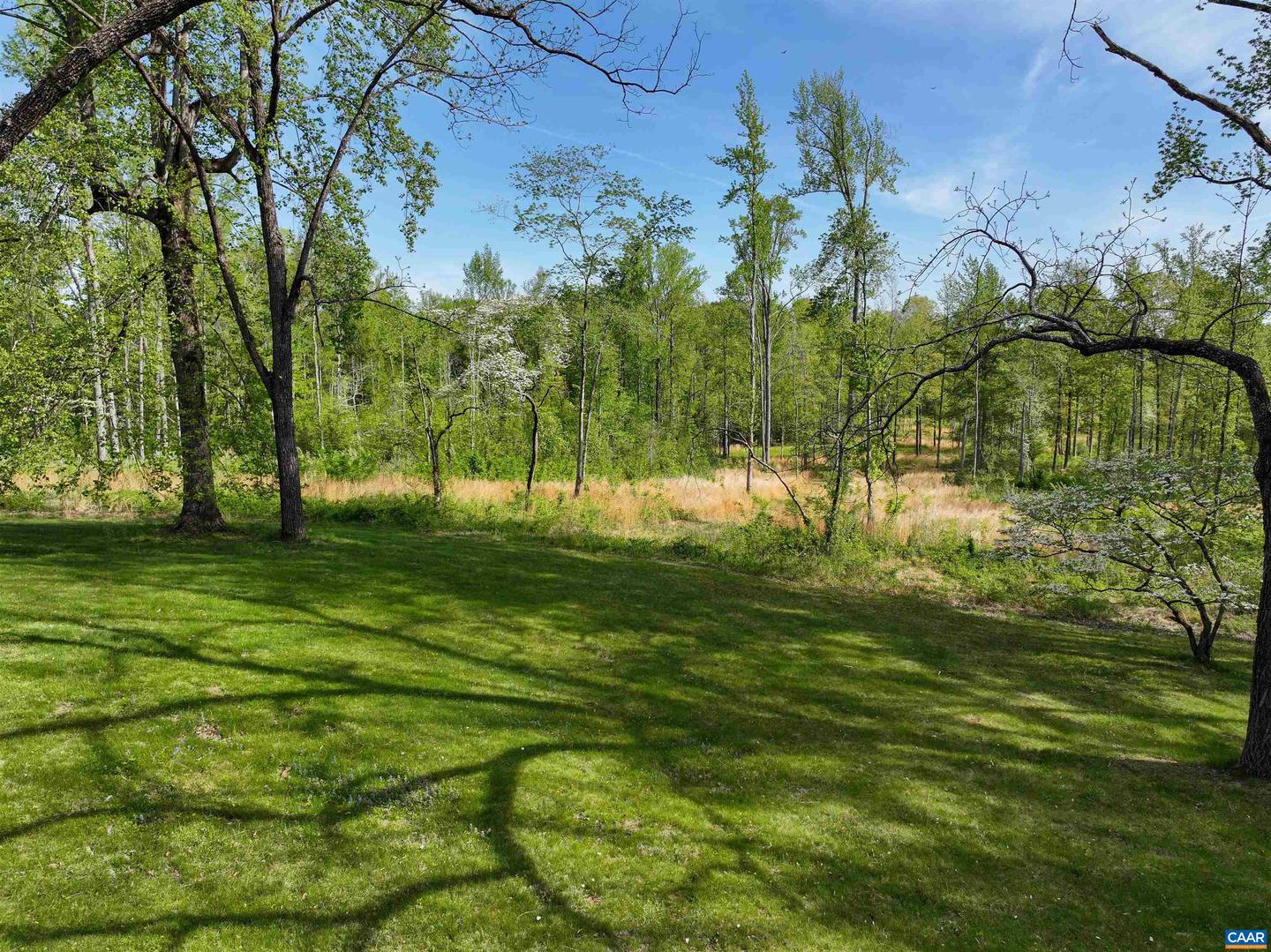 4048 OLD GRAIN RD, CORBIN, Virginia 22446, ,Farm,For Sale,4048 OLD GRAIN RD,665570 MLS # 665570 4048 OLD GRAIN RD, CORBIN, Virginia 22446, ,Farm,For Sale,4048 OLD GRAIN RD,665570 MLS # 665570