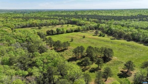 4048 OLD GRAIN RD, CORBIN, Virginia 22446, ,Farm,For Sale,4048 OLD GRAIN RD,665570 MLS # 665570