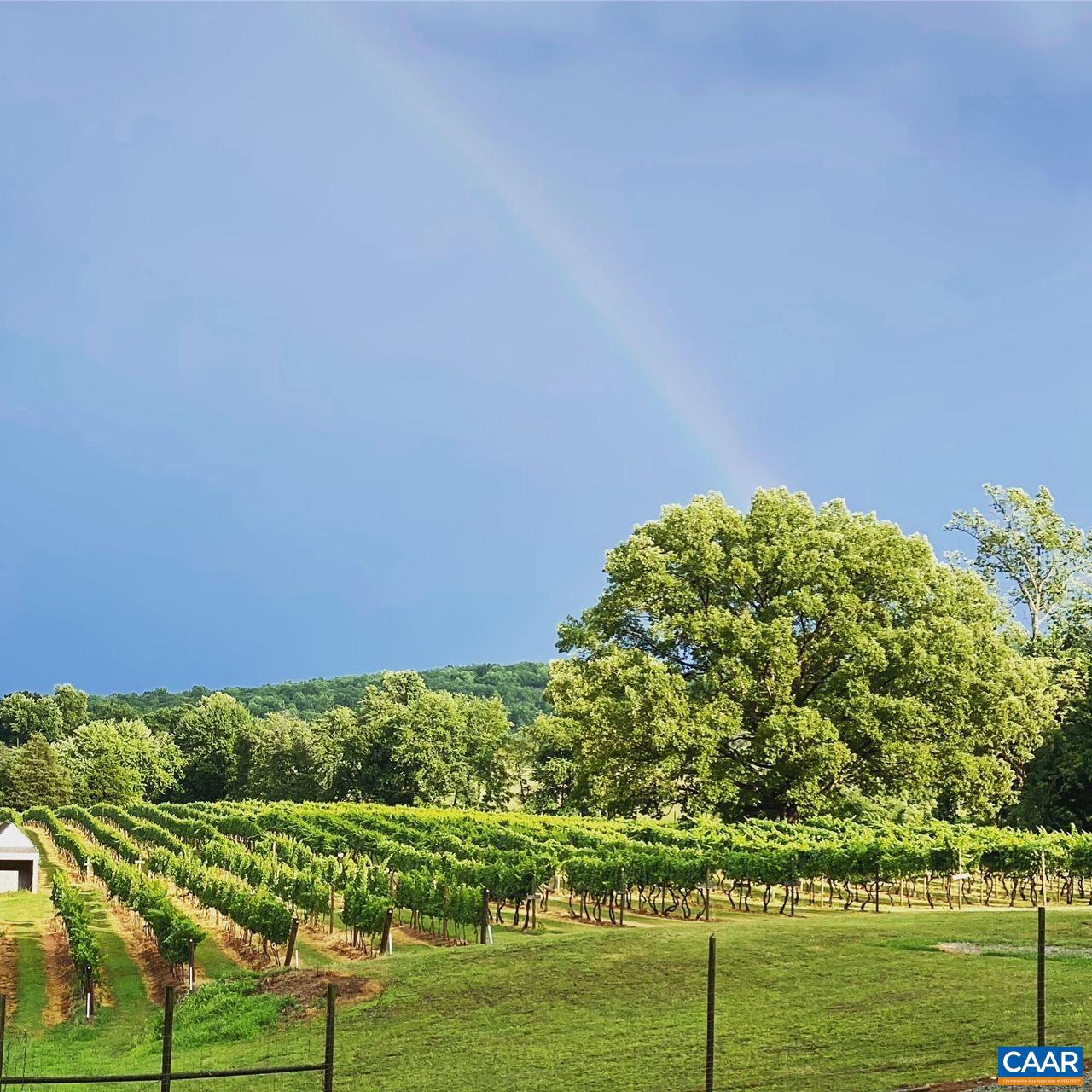 3613 WALNUT BRANCH LN, NORTH GARDEN, Virginia 22959, 2 Bedrooms Bedrooms, ,2 BathroomsBathrooms,Farm,For Sale,3613 WALNUT BRANCH LN,665612 MLS # 665612 3613 WALNUT BRANCH LN, NORTH GARDEN, Virginia 22959, 2 Bedrooms Bedrooms, ,2 BathroomsBathrooms,Farm,For Sale,3613 WALNUT BRANCH LN,665612 MLS # 665612