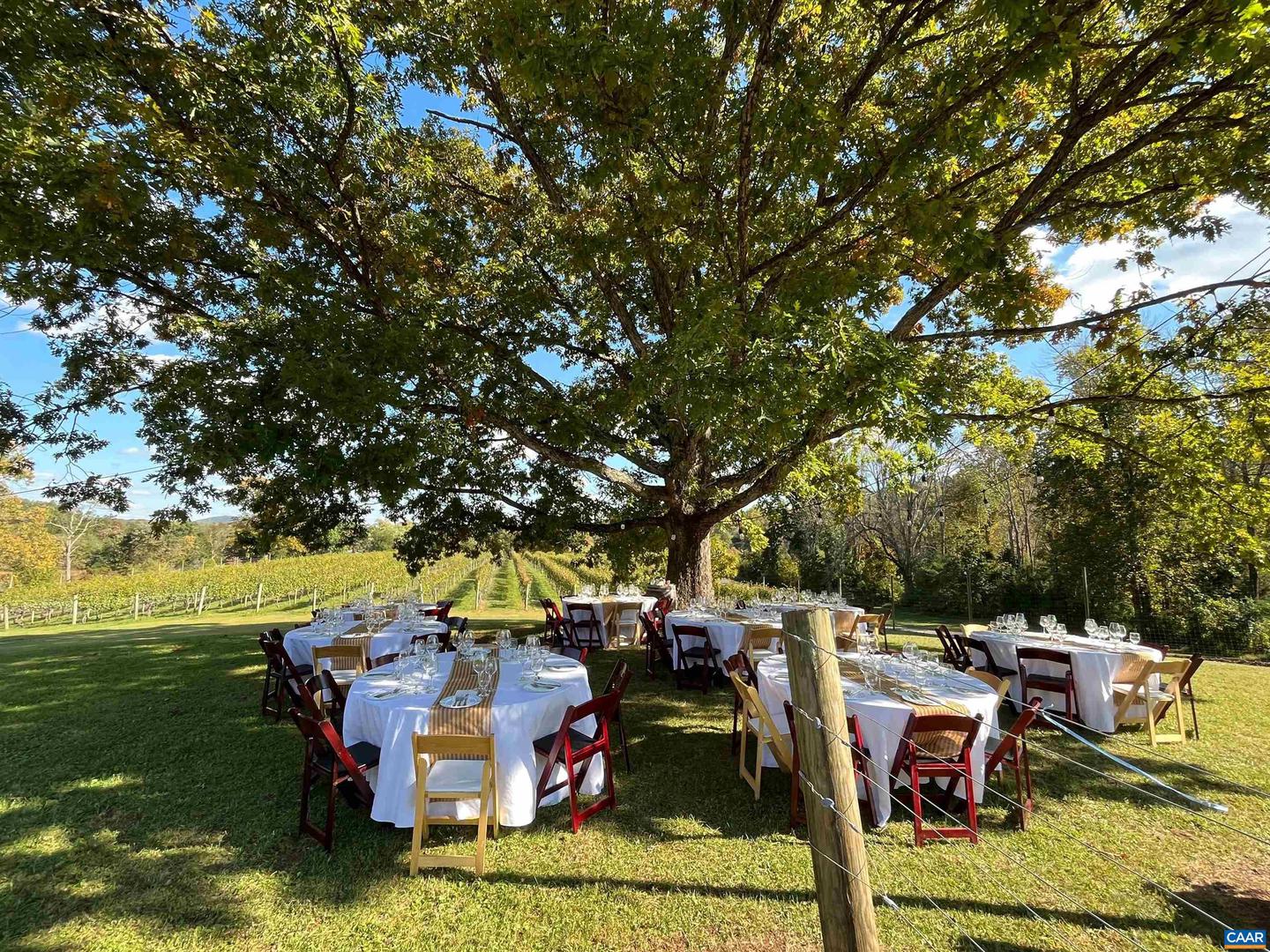 3613 WALNUT BRANCH LN, NORTH GARDEN, Virginia 22959, 2 Bedrooms Bedrooms, ,2 BathroomsBathrooms,Farm,For Sale,3613 WALNUT BRANCH LN,665612 MLS # 665612 3613 WALNUT BRANCH LN, NORTH GARDEN, Virginia 22959, 2 Bedrooms Bedrooms, ,2 BathroomsBathrooms,Farm,For Sale,3613 WALNUT BRANCH LN,665612 MLS # 665612