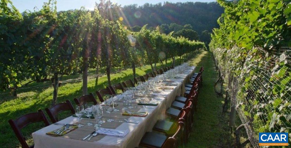 3613 WALNUT BRANCH LN, NORTH GARDEN, Virginia 22959, 2 Bedrooms Bedrooms, ,2 BathroomsBathrooms,Farm,For Sale,3613 WALNUT BRANCH LN,665612 MLS # 665612 3613 WALNUT BRANCH LN, NORTH GARDEN, Virginia 22959, 2 Bedrooms Bedrooms, ,2 BathroomsBathrooms,Farm,For Sale,3613 WALNUT BRANCH LN,665612 MLS # 665612