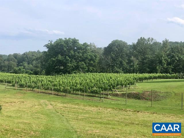 3613 WALNUT BRANCH LN, NORTH GARDEN, Virginia 22959, 2 Bedrooms Bedrooms, ,2 BathroomsBathrooms,Farm,For Sale,3613 WALNUT BRANCH LN,665612 MLS # 665612 3613 WALNUT BRANCH LN, NORTH GARDEN, Virginia 22959, 2 Bedrooms Bedrooms, ,2 BathroomsBathrooms,Farm,For Sale,3613 WALNUT BRANCH LN,665612 MLS # 665612