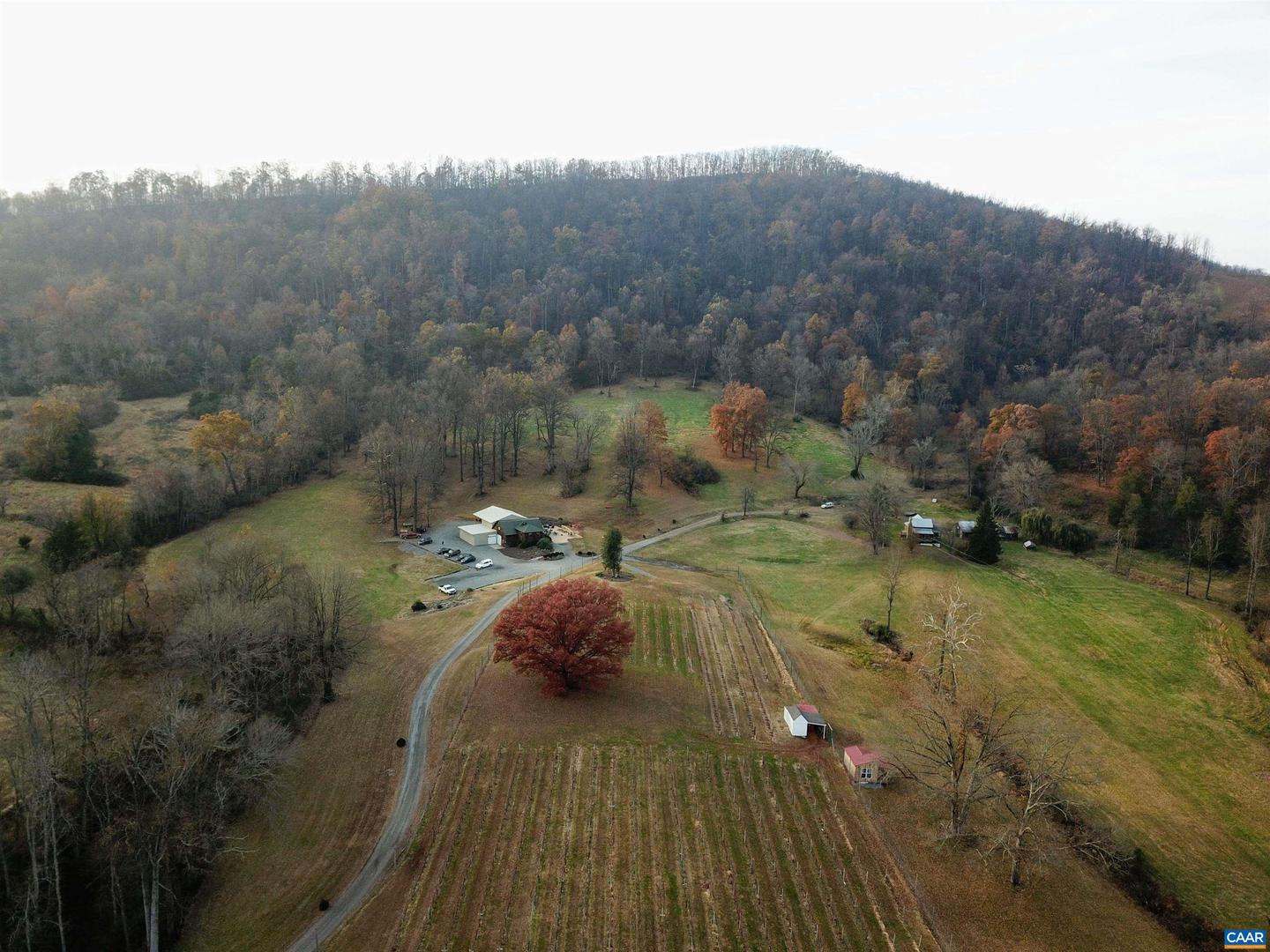 3613 WALNUT BRANCH LN, NORTH GARDEN, Virginia 22959, 2 Bedrooms Bedrooms, ,2 BathroomsBathrooms,Farm,For Sale,3613 WALNUT BRANCH LN,665612 MLS # 665612 3613 WALNUT BRANCH LN, NORTH GARDEN, Virginia 22959, 2 Bedrooms Bedrooms, ,2 BathroomsBathrooms,Farm,For Sale,3613 WALNUT BRANCH LN,665612 MLS # 665612