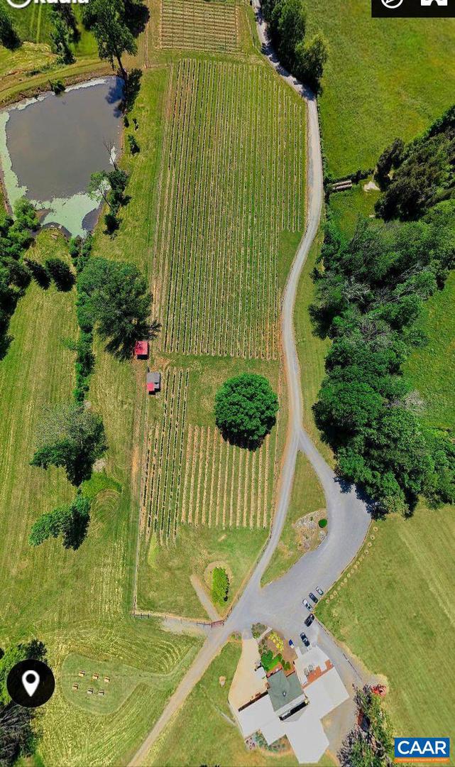 3613 WALNUT BRANCH LN, NORTH GARDEN, Virginia 22959, 2 Bedrooms Bedrooms, ,2 BathroomsBathrooms,Farm,For Sale,3613 WALNUT BRANCH LN,665612 MLS # 665612 3613 WALNUT BRANCH LN, NORTH GARDEN, Virginia 22959, 2 Bedrooms Bedrooms, ,2 BathroomsBathrooms,Farm,For Sale,3613 WALNUT BRANCH LN,665612 MLS # 665612