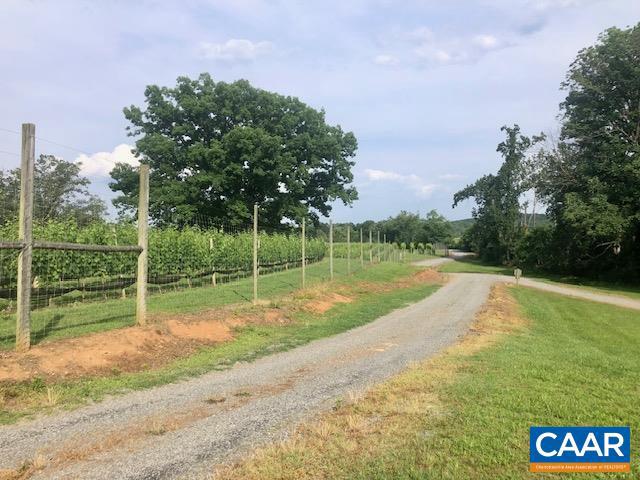 3613 WALNUT BRANCH LN, NORTH GARDEN, Virginia 22959, 2 Bedrooms Bedrooms, ,2 BathroomsBathrooms,Farm,For Sale,3613 WALNUT BRANCH LN,665612 MLS # 665612 3613 WALNUT BRANCH LN, NORTH GARDEN, Virginia 22959, 2 Bedrooms Bedrooms, ,2 BathroomsBathrooms,Farm,For Sale,3613 WALNUT BRANCH LN,665612 MLS # 665612