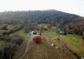 3613 WALNUT BRANCH LN, NORTH GARDEN, Virginia 22959, 2 Bedrooms Bedrooms, ,2 BathroomsBathrooms,Farm,For Sale,3613 WALNUT BRANCH LN,665612 MLS # 665612 3613 WALNUT BRANCH LN, NORTH GARDEN, Virginia 22959, 2 Bedrooms Bedrooms, ,2 BathroomsBathrooms,Farm,For Sale,3613 WALNUT BRANCH LN,665612 MLS # 665612