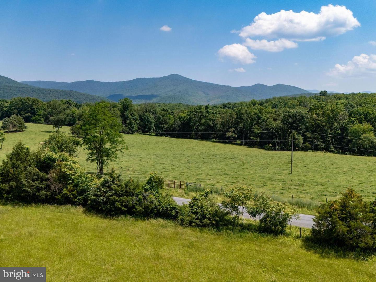 OFF SUNNYVIEW DR, RILEYVILLE, Virginia 22650, ,Land,For Sale,OFF SUNNYVIEW DR,VAPA2005014 MLS # VAPA2005014 OFF SUNNYVIEW DR, RILEYVILLE, Virginia 22650, ,Land,For Sale,OFF SUNNYVIEW DR,VAPA2005014 MLS # VAPA2005014