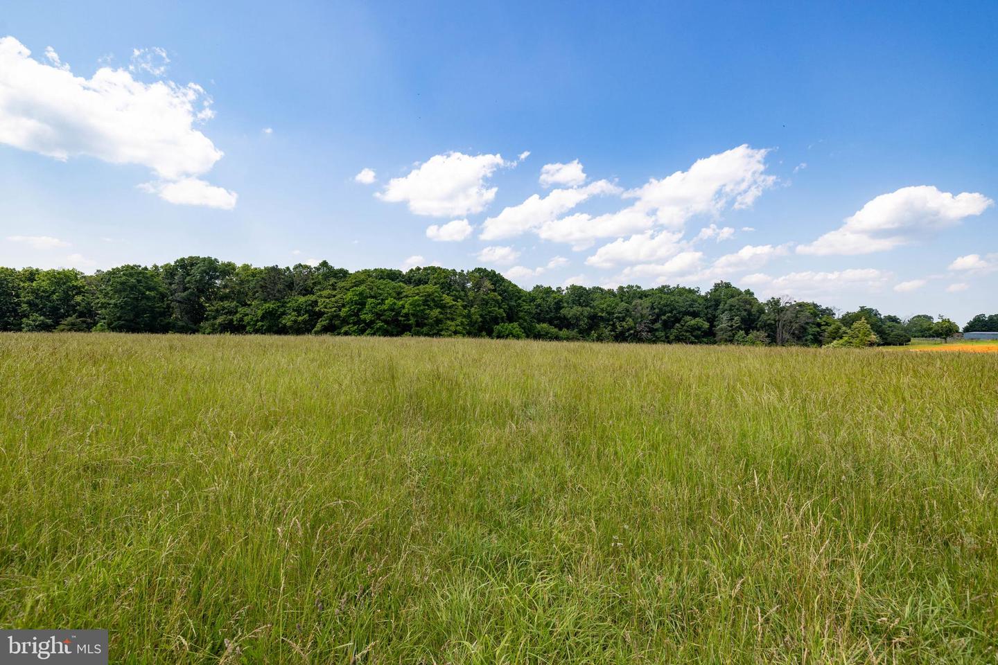 OFF SUNNYVIEW DR, RILEYVILLE, Virginia 22650, ,Land,For Sale,OFF SUNNYVIEW DR,VAPA2005014 MLS # VAPA2005014 OFF SUNNYVIEW DR, RILEYVILLE, Virginia 22650, ,Land,For Sale,OFF SUNNYVIEW DR,VAPA2005014 MLS # VAPA2005014