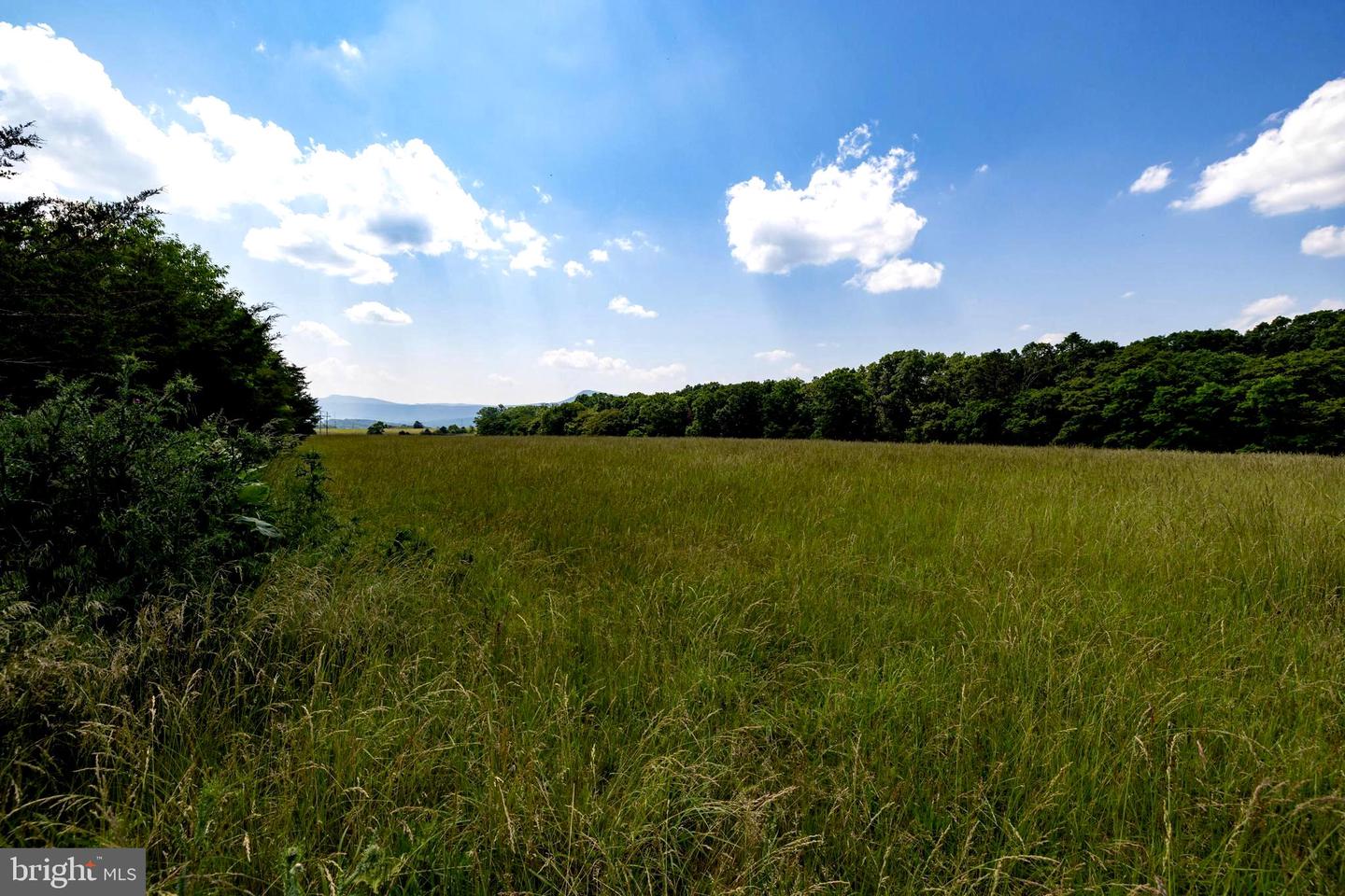 OFF SUNNYVIEW DR, RILEYVILLE, Virginia 22650, ,Land,For Sale,OFF SUNNYVIEW DR,VAPA2005014 MLS # VAPA2005014 OFF SUNNYVIEW DR, RILEYVILLE, Virginia 22650, ,Land,For Sale,OFF SUNNYVIEW DR,VAPA2005014 MLS # VAPA2005014