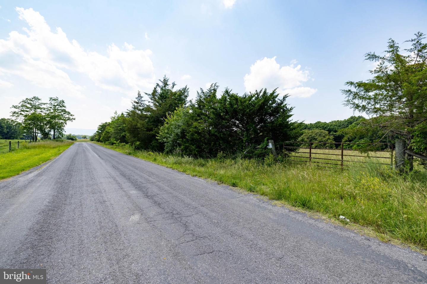 OFF SUNNYVIEW DR, RILEYVILLE, Virginia 22650, ,Land,For Sale,OFF SUNNYVIEW DR,VAPA2005014 MLS # VAPA2005014 OFF SUNNYVIEW DR, RILEYVILLE, Virginia 22650, ,Land,For Sale,OFF SUNNYVIEW DR,VAPA2005014 MLS # VAPA2005014