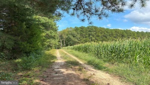 DAVIS LOWGROUND ROAD (TRACT BIG JUNIPER-2) KEYSVILLE Virginia 23947