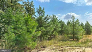 DAVIS LOWGROUND ROAD (BIG JUNIPER-1 TRACT) KEYSVILLE Virginia 23947