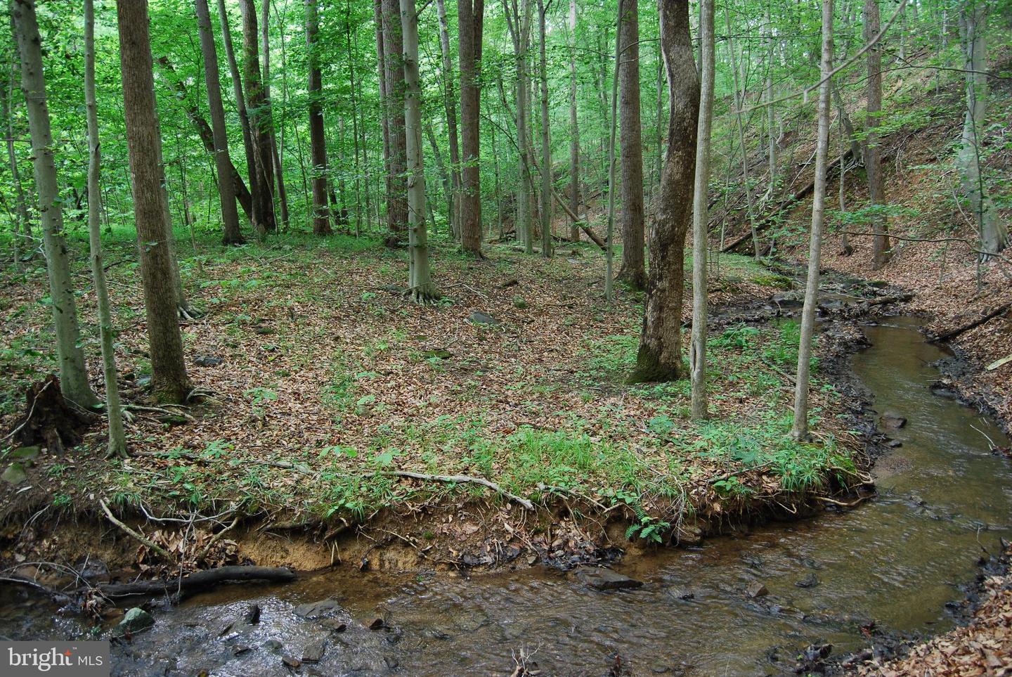 MOUNT CARMEL RD, BOYCE, Virginia 22620, ,Land,For Sale,MOUNT CARMEL RD,VACL2003838 MLS # VACL2003838