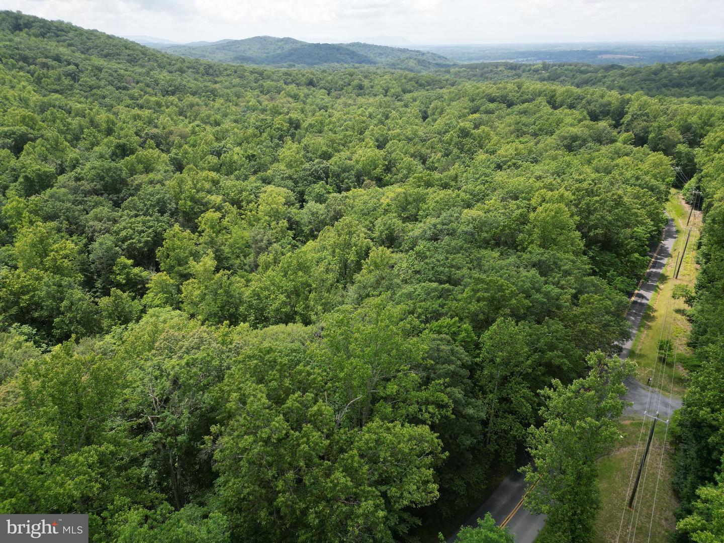 MOUNT CARMEL RD, BOYCE, Virginia 22620, ,Land,For Sale,MOUNT CARMEL RD,VACL2003838 MLS # VACL2003838