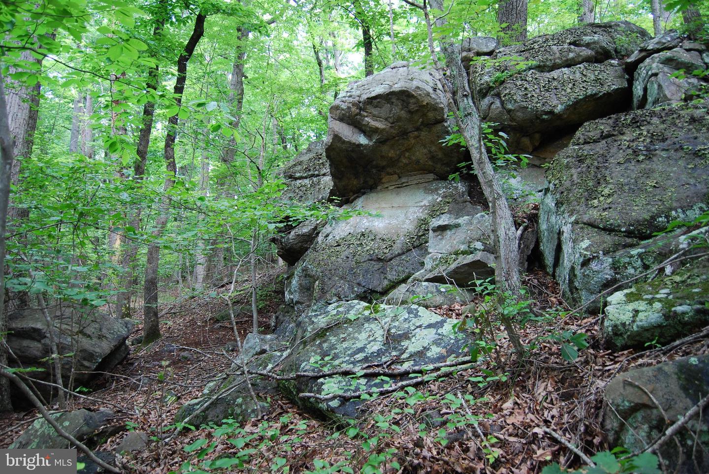 MOUNT CARMEL RD, BOYCE, Virginia 22620, ,Land,For Sale,MOUNT CARMEL RD,VACL2003838 MLS # VACL2003838