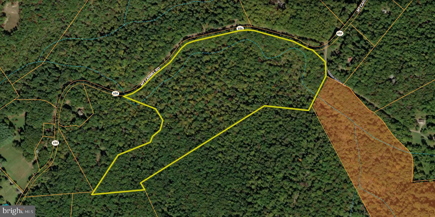 MOUNT CARMEL RD, BOYCE, Virginia 22620, ,Land,For Sale,MOUNT CARMEL RD,VACL2003838 MLS # VACL2003838