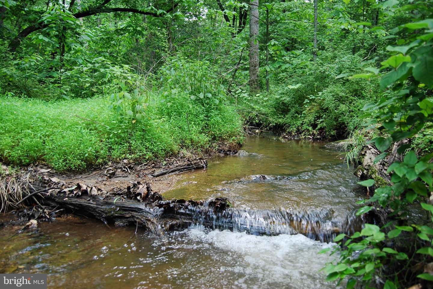 MOUNT CARMEL RD, BOYCE, Virginia 22620, ,Land,For Sale,MOUNT CARMEL RD,VACL2003838 MLS # VACL2003838