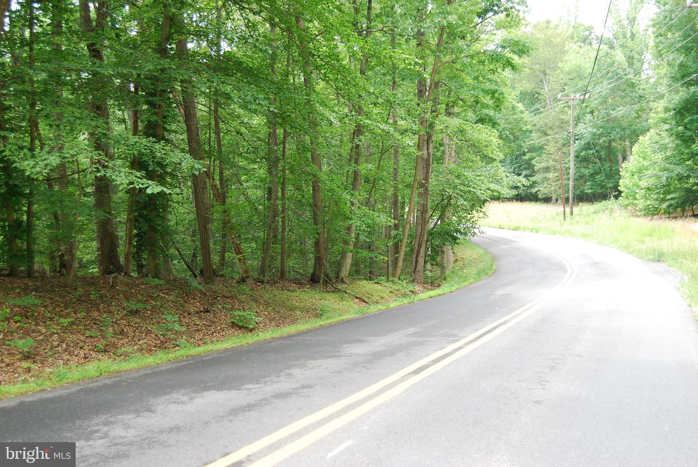 MOUNT CARMEL RD, BOYCE, Virginia 22620, ,Land,For Sale,MOUNT CARMEL RD,VACL2003838 MLS # VACL2003838