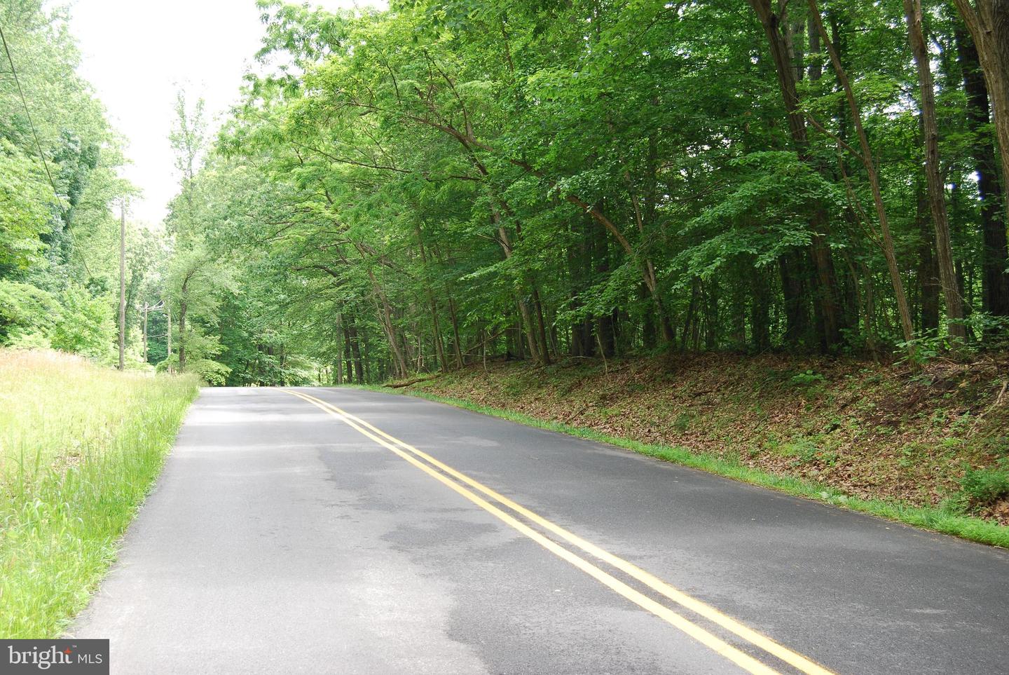 MOUNT CARMEL RD, BOYCE, Virginia 22620, ,Land,For Sale,MOUNT CARMEL RD,VACL2003838 MLS # VACL2003838