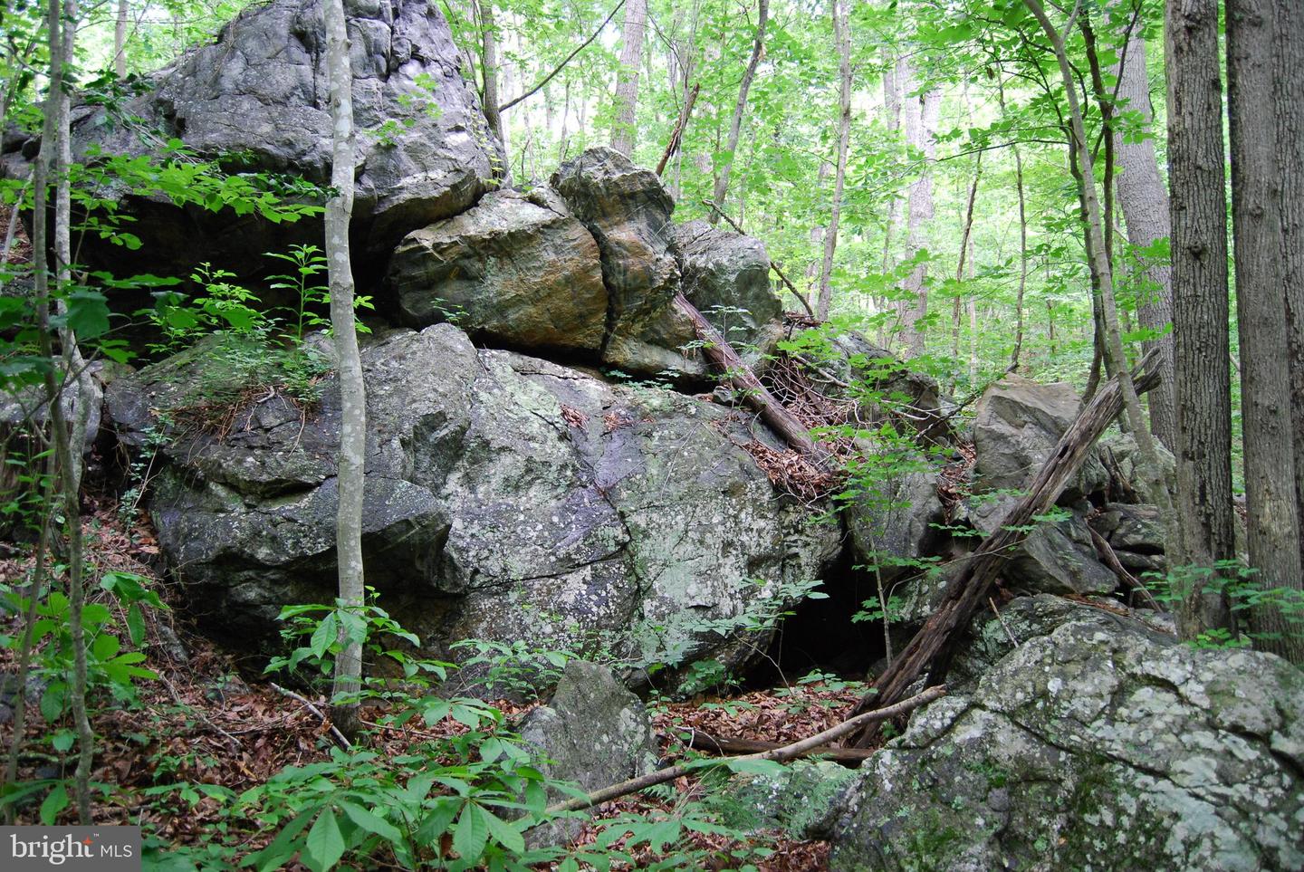 MOUNT CARMEL RD, BOYCE, Virginia 22620, ,Land,For Sale,MOUNT CARMEL RD,VACL2003838 MLS # VACL2003838