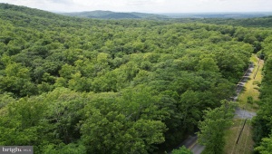 MOUNT CARMEL RD BOYCE Virginia 22620