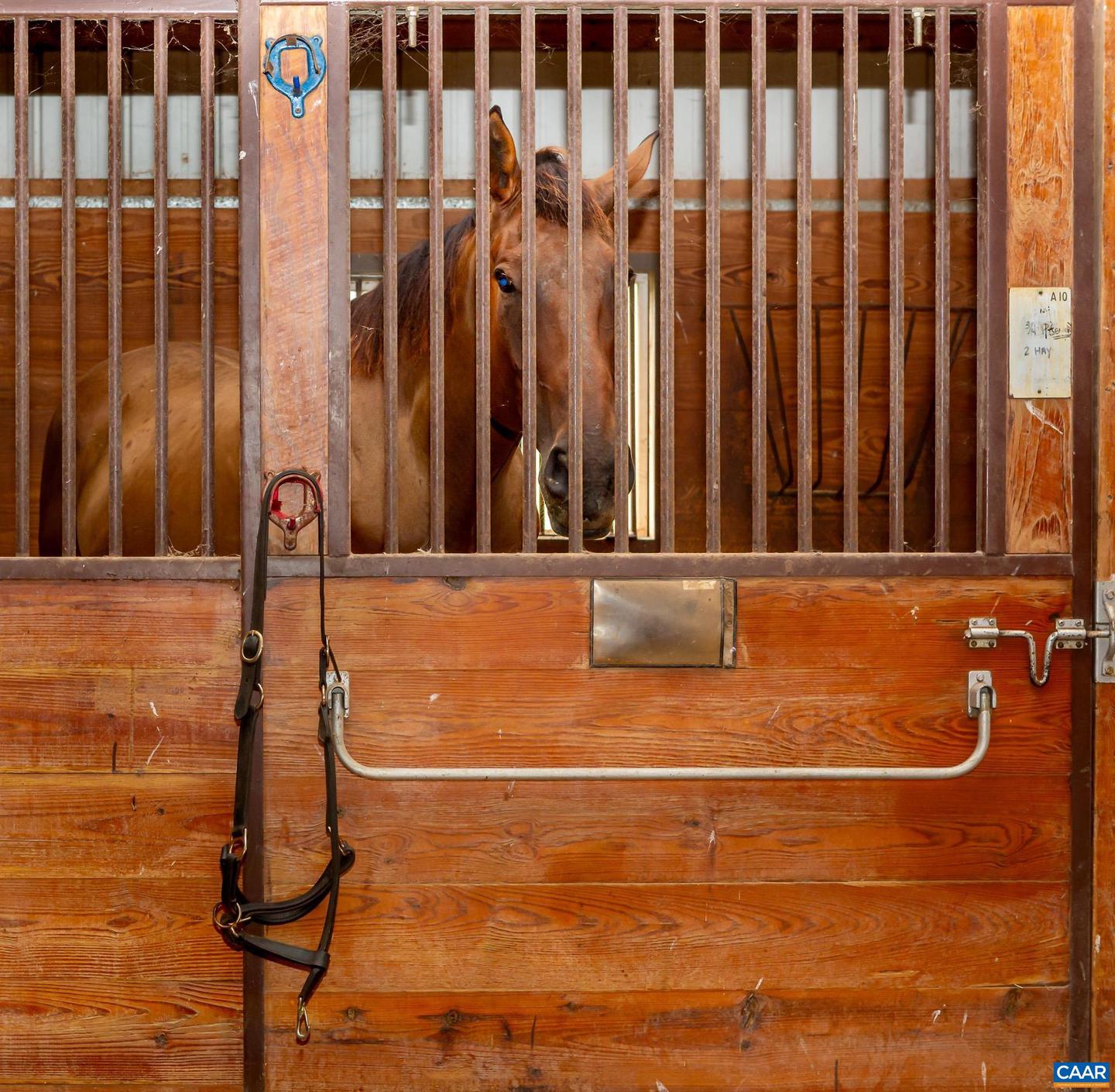 9313 GREENFIELD FARM, SCOTTSVILLE, Virginia 24590, 4 Bedrooms Bedrooms, ,4 BathroomsBathrooms,Residential,For Sale,9313 GREENFIELD FARM,665653 MLS # 665653 9313 GREENFIELD FARM, SCOTTSVILLE, Virginia 24590, 4 Bedrooms Bedrooms, ,4 BathroomsBathrooms,Residential,For Sale,9313 GREENFIELD FARM,665653 MLS # 665653