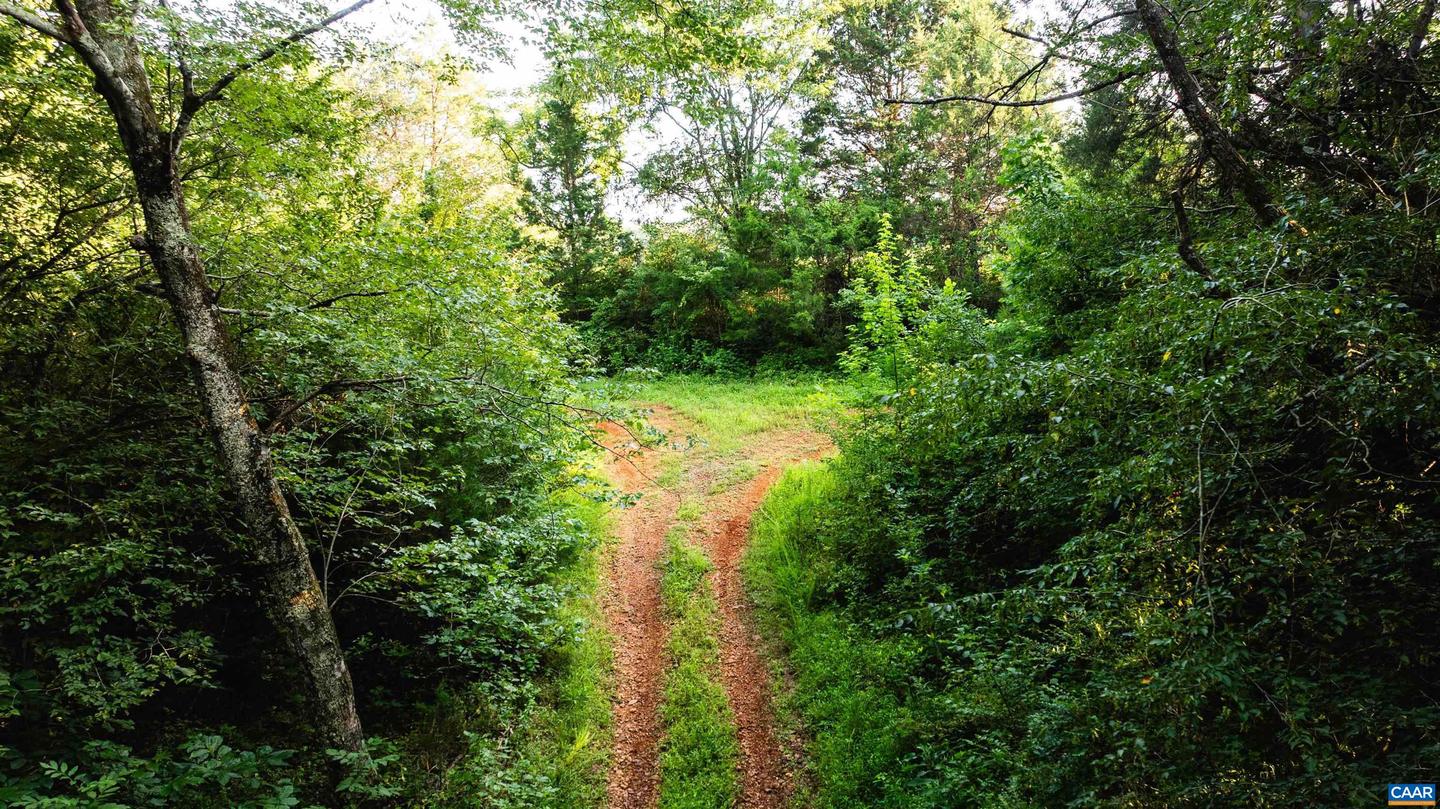 9313 GREENFIELD FARM, SCOTTSVILLE, Virginia 24590, 4 Bedrooms Bedrooms, ,4 BathroomsBathrooms,Residential,For Sale,9313 GREENFIELD FARM,665653 MLS # 665653 9313 GREENFIELD FARM, SCOTTSVILLE, Virginia 24590, 4 Bedrooms Bedrooms, ,4 BathroomsBathrooms,Residential,For Sale,9313 GREENFIELD FARM,665653 MLS # 665653