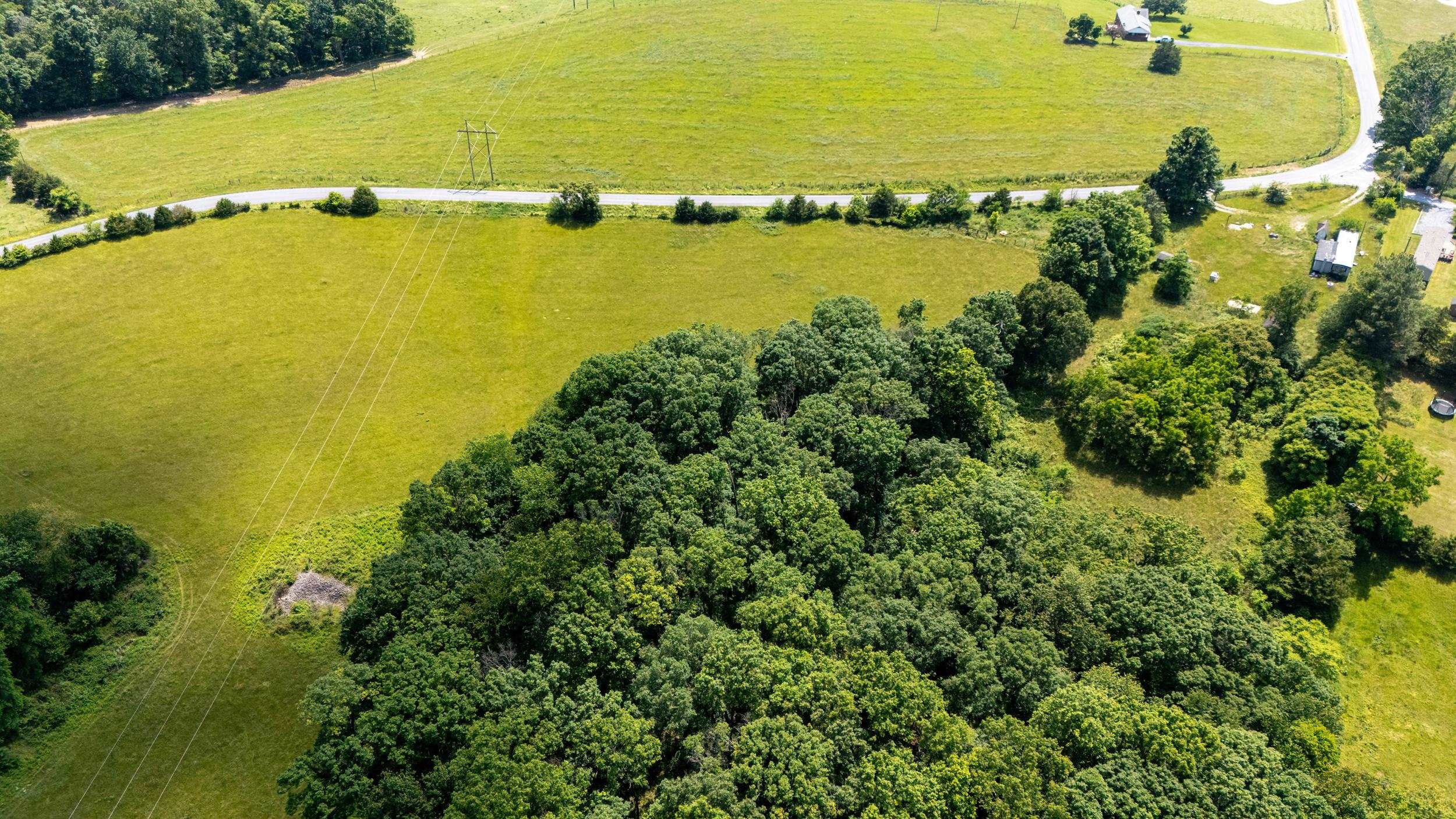 0 SUNNYVIEW DR, RILEYVILLE, Virginia 22650, ,Land,14,0 SUNNYVIEW DR,665708 MLS # 665708 0 SUNNYVIEW DR, RILEYVILLE, Virginia 22650, ,Land,14,0 SUNNYVIEW DR,665708 MLS # 665708