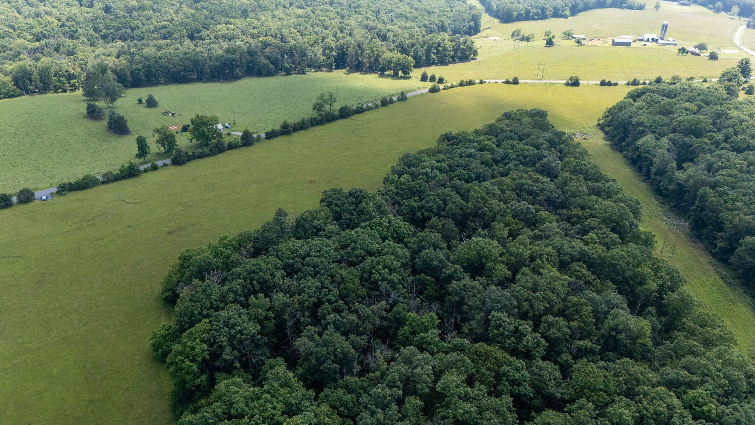 0 SUNNYVIEW DR, RILEYVILLE, Virginia 22650, ,Land,14,0 SUNNYVIEW DR,665708 MLS # 665708 0 SUNNYVIEW DR, RILEYVILLE, Virginia 22650, ,Land,14,0 SUNNYVIEW DR,665708 MLS # 665708
