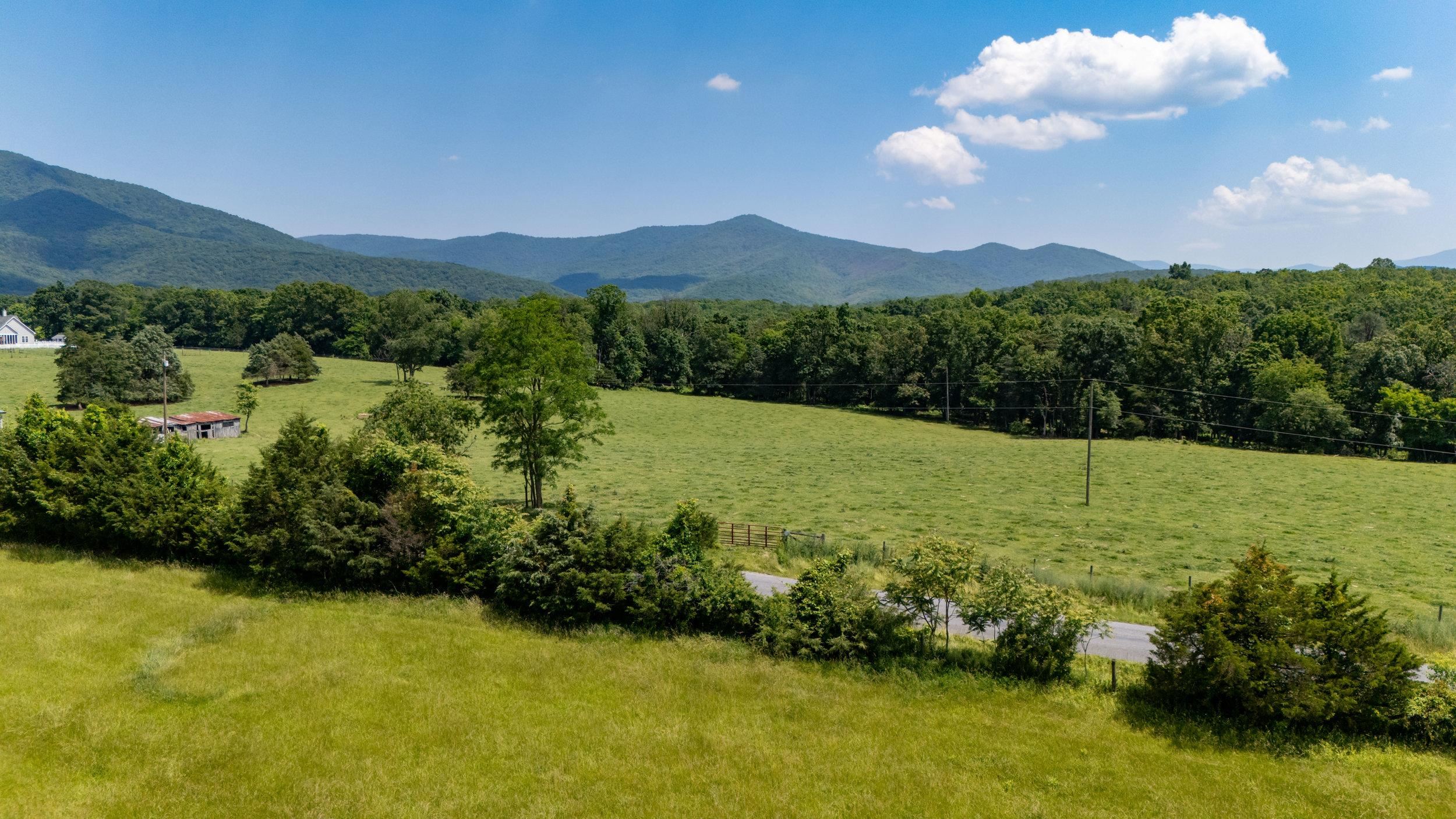 0 SUNNYVIEW DR, RILEYVILLE, Virginia 22650, ,Land,14,0 SUNNYVIEW DR,665708 MLS # 665708 0 SUNNYVIEW DR, RILEYVILLE, Virginia 22650, ,Land,14,0 SUNNYVIEW DR,665708 MLS # 665708