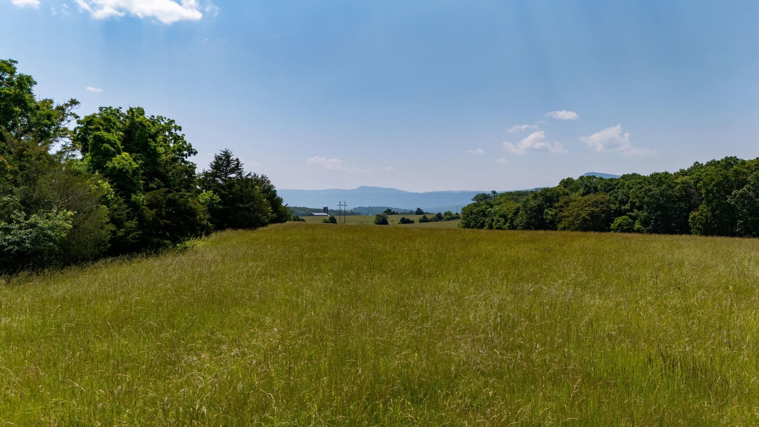 0 SUNNYVIEW DR, RILEYVILLE, Virginia 22650, ,Land,14,0 SUNNYVIEW DR,665708 MLS # 665708 0 SUNNYVIEW DR, RILEYVILLE, Virginia 22650, ,Land,14,0 SUNNYVIEW DR,665708 MLS # 665708