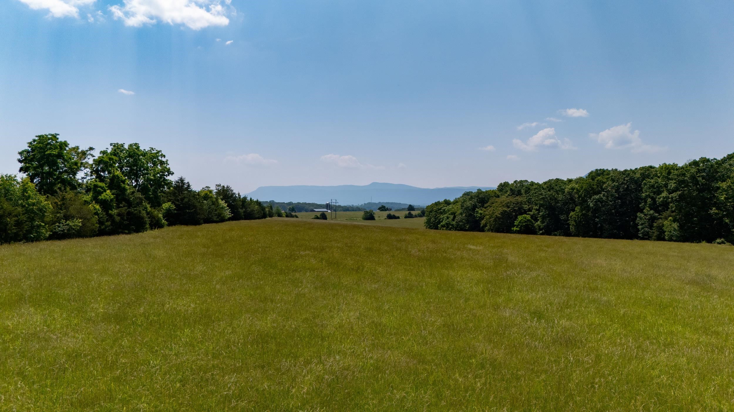 0 SUNNYVIEW DR, RILEYVILLE, Virginia 22650, ,Land,14,0 SUNNYVIEW DR,665708 MLS # 665708 0 SUNNYVIEW DR, RILEYVILLE, Virginia 22650, ,Land,14,0 SUNNYVIEW DR,665708 MLS # 665708