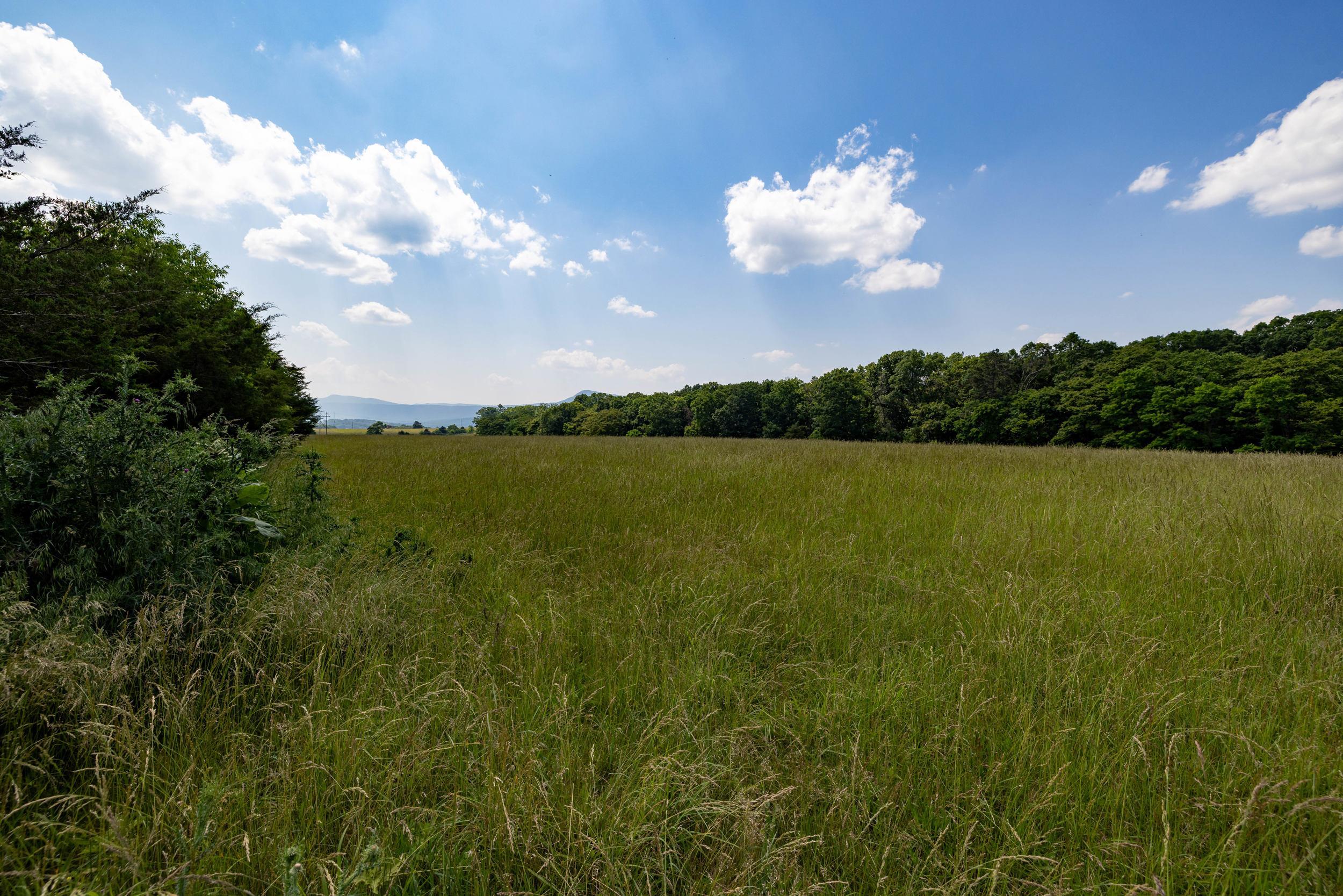 0 SUNNYVIEW DR, RILEYVILLE, Virginia 22650, ,Land,14,0 SUNNYVIEW DR,665708 MLS # 665708 0 SUNNYVIEW DR, RILEYVILLE, Virginia 22650, ,Land,14,0 SUNNYVIEW DR,665708 MLS # 665708