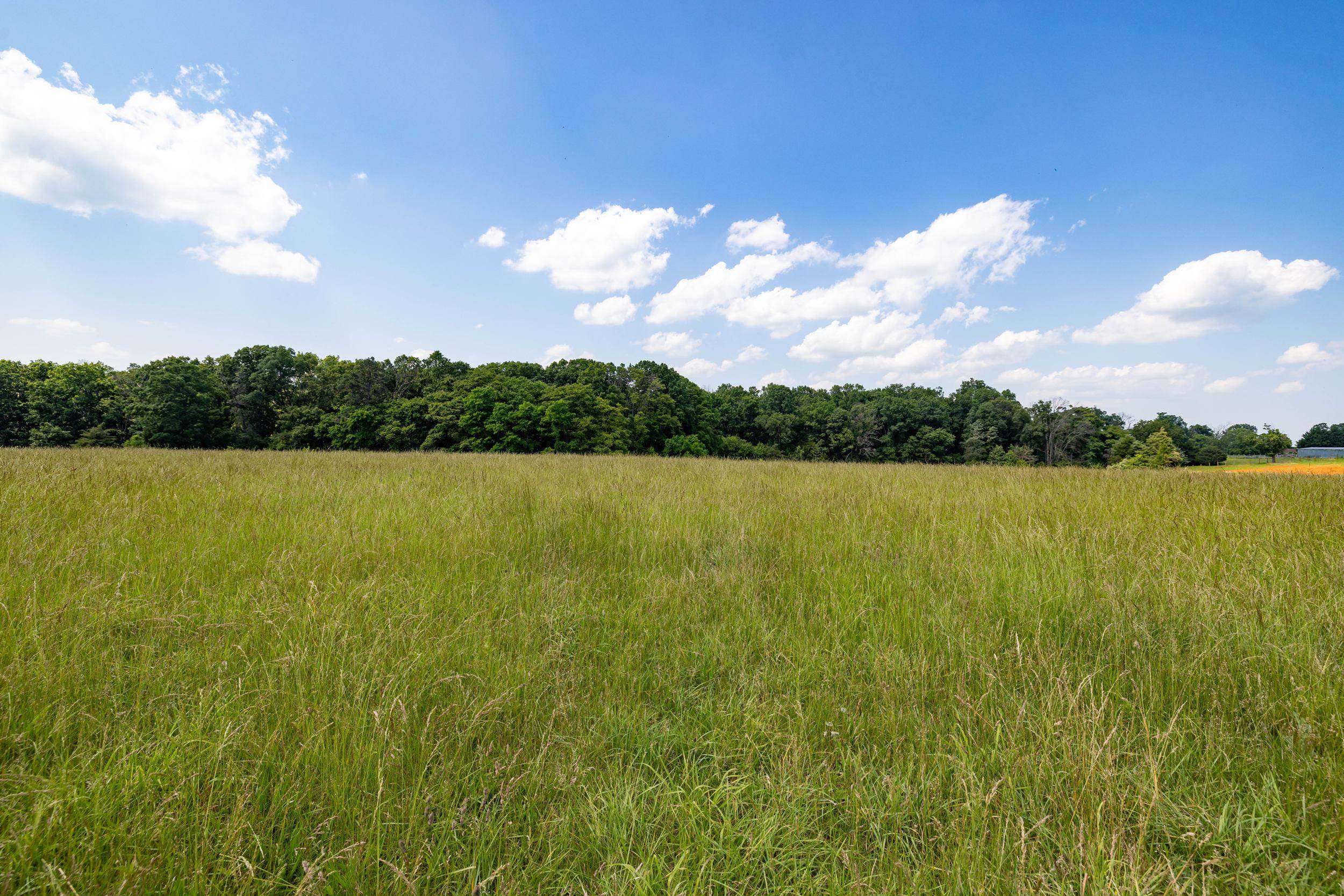 0 SUNNYVIEW DR, RILEYVILLE, Virginia 22650, ,Land,14,0 SUNNYVIEW DR,665708 MLS # 665708 0 SUNNYVIEW DR, RILEYVILLE, Virginia 22650, ,Land,14,0 SUNNYVIEW DR,665708 MLS # 665708