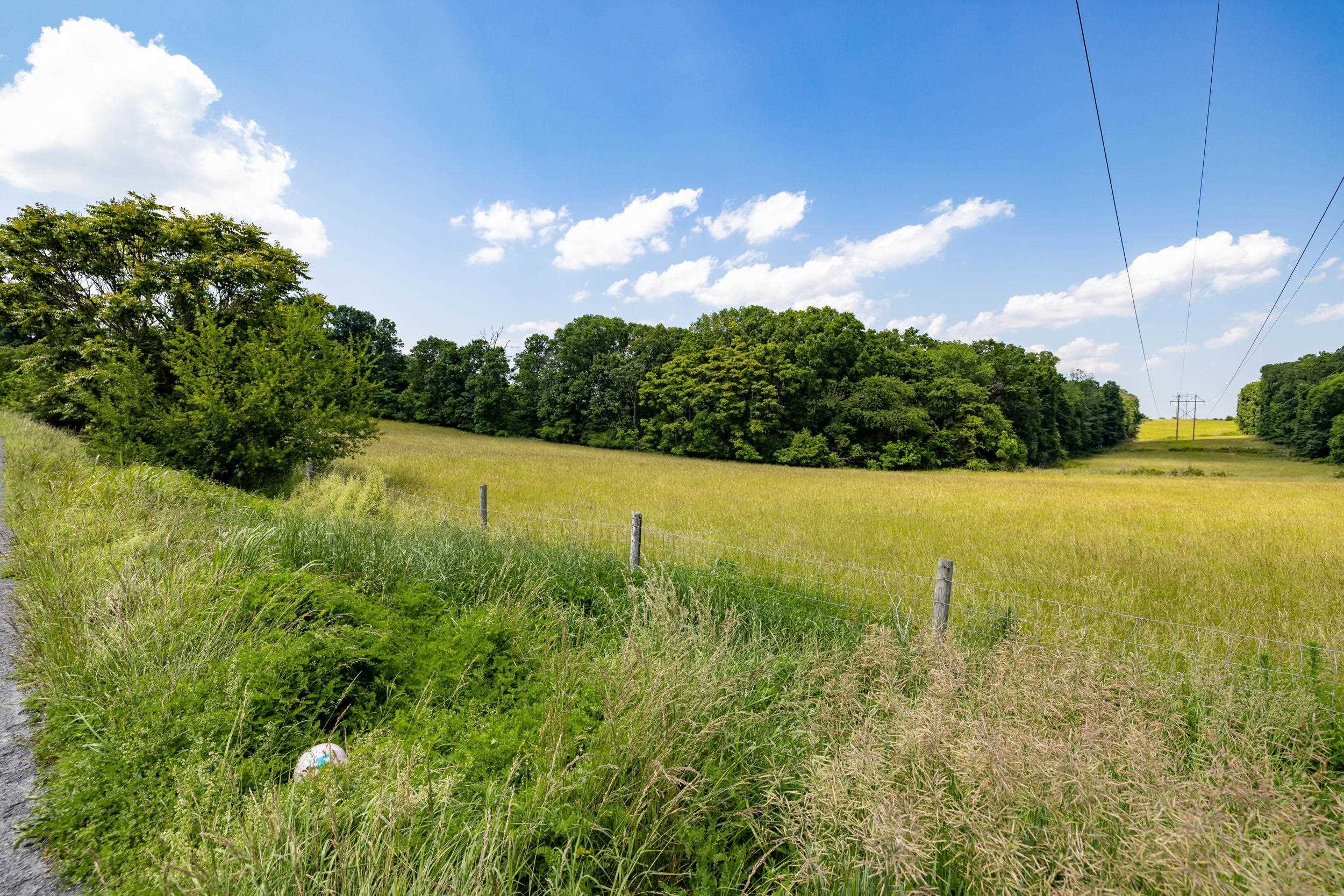 0 SUNNYVIEW DR, RILEYVILLE, Virginia 22650, ,Land,14,0 SUNNYVIEW DR,665708 MLS # 665708 0 SUNNYVIEW DR, RILEYVILLE, Virginia 22650, ,Land,14,0 SUNNYVIEW DR,665708 MLS # 665708