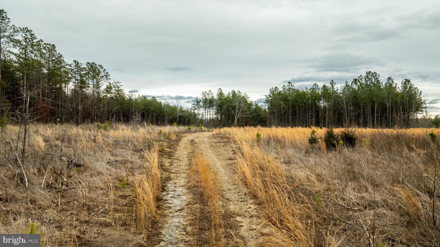 7812 GRAND BROOKS RD, SPOTSYLVANIA, Virginia 22551, ,Land,For Sale,7812 GRAND BROOKS RD,VASP2033494 MLS # VASP2033494 7812 GRAND BROOKS RD, SPOTSYLVANIA, Virginia 22551, ,Land,For Sale,7812 GRAND BROOKS RD,VASP2033494 MLS # VASP2033494