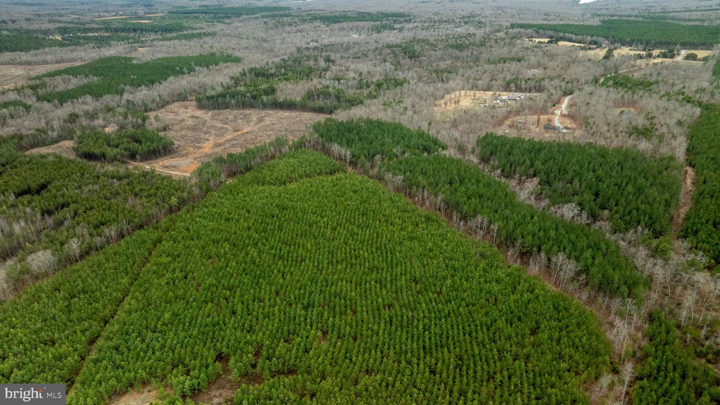 7812 GRAND BROOKS RD, SPOTSYLVANIA, Virginia 22551, ,Land,For Sale,7812 GRAND BROOKS RD,VASP2033494 MLS # VASP2033494 7812 GRAND BROOKS RD, SPOTSYLVANIA, Virginia 22551, ,Land,For Sale,7812 GRAND BROOKS RD,VASP2033494 MLS # VASP2033494