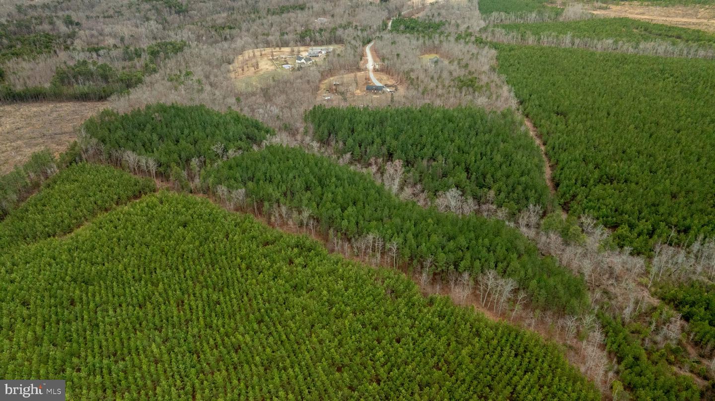 7812 GRAND BROOKS RD, SPOTSYLVANIA, Virginia 22551, ,Land,For Sale,7812 GRAND BROOKS RD,VASP2033494 MLS # VASP2033494 7812 GRAND BROOKS RD, SPOTSYLVANIA, Virginia 22551, ,Land,For Sale,7812 GRAND BROOKS RD,VASP2033494 MLS # VASP2033494