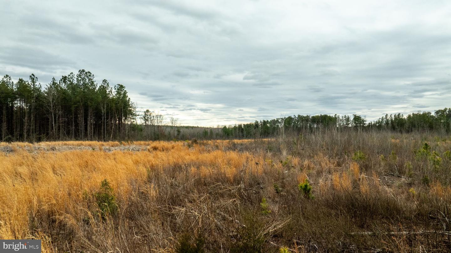 7812 GRAND BROOKS RD, SPOTSYLVANIA, Virginia 22551, ,Land,For Sale,7812 GRAND BROOKS RD,VASP2033494 MLS # VASP2033494 7812 GRAND BROOKS RD, SPOTSYLVANIA, Virginia 22551, ,Land,For Sale,7812 GRAND BROOKS RD,VASP2033494 MLS # VASP2033494