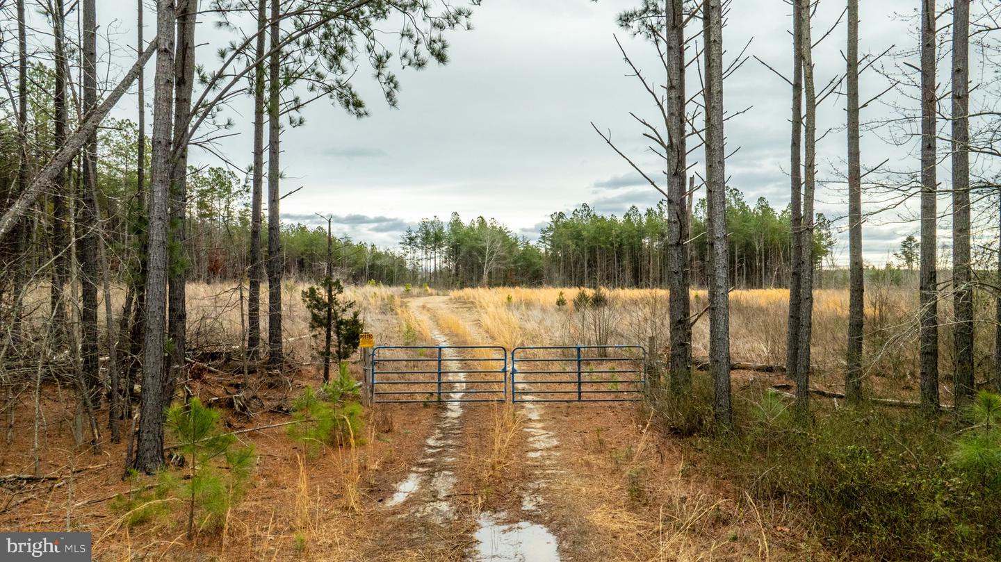 7812 GRAND BROOKS RD, SPOTSYLVANIA, Virginia 22551, ,Land,For Sale,7812 GRAND BROOKS RD,VASP2033494 MLS # VASP2033494 7812 GRAND BROOKS RD, SPOTSYLVANIA, Virginia 22551, ,Land,For Sale,7812 GRAND BROOKS RD,VASP2033494 MLS # VASP2033494