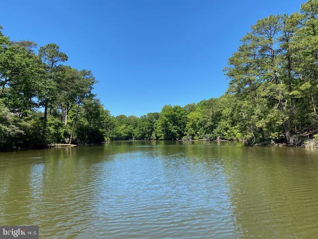 LOT 12 PAYNES SHOP RD, LANCASTER, Virginia 22503, ,Land,For Sale,LOT 12 PAYNES SHOP RD,VALV2000836 MLS # VALV2000836 LOT 12 PAYNES SHOP RD, LANCASTER, Virginia 22503, ,Land,For Sale,LOT 12 PAYNES SHOP RD,VALV2000836 MLS # VALV2000836