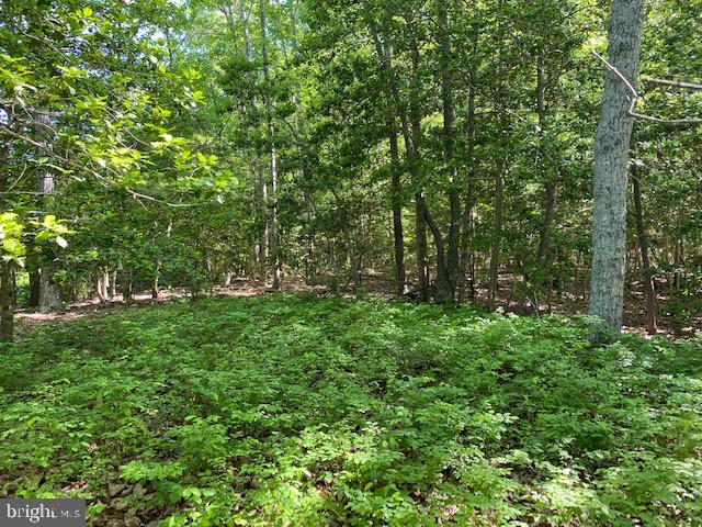 LOT 12 PAYNES SHOP RD, LANCASTER, Virginia 22503, ,Land,For Sale,LOT 12 PAYNES SHOP RD,VALV2000836 MLS # VALV2000836 LOT 12 PAYNES SHOP RD, LANCASTER, Virginia 22503, ,Land,For Sale,LOT 12 PAYNES SHOP RD,VALV2000836 MLS # VALV2000836