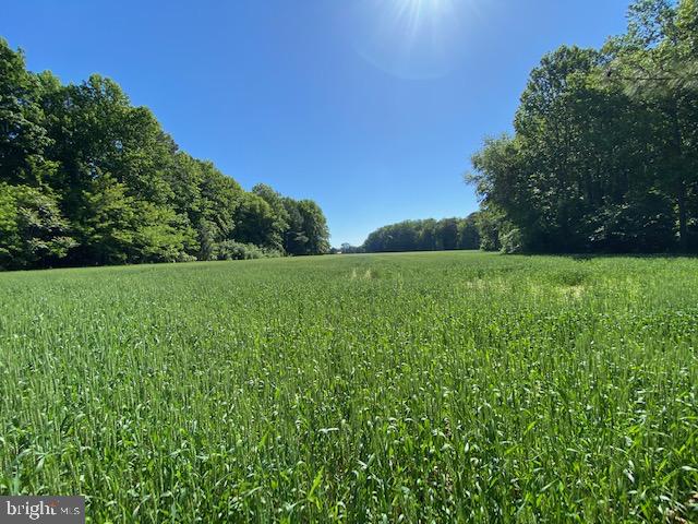 LOT 12 PAYNES SHOP RD, LANCASTER, Virginia 22503, ,Land,For Sale,LOT 12 PAYNES SHOP RD,VALV2000836 MLS # VALV2000836 LOT 12 PAYNES SHOP RD, LANCASTER, Virginia 22503, ,Land,For Sale,LOT 12 PAYNES SHOP RD,VALV2000836 MLS # VALV2000836