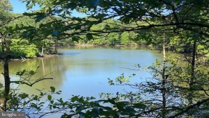 LOT 12 PAYNES SHOP RD, LANCASTER, Virginia 22503, ,Land,For Sale,LOT 12 PAYNES SHOP RD,VALV2000836 MLS # VALV2000836